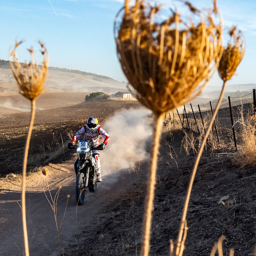 andalucia-rally-2020-stage-4-andaluciarally2020-stage4-5.jpg